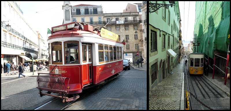 Lisbon trams.jpg